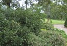 Middle Camberwellresidential-landscaping-35.jpg; ?>