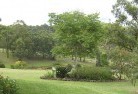 Middle Camberwellresidential-landscaping-40.jpg; ?>